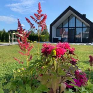 Фотографии гостевого дома 
            HARMONY Design and Vacation House