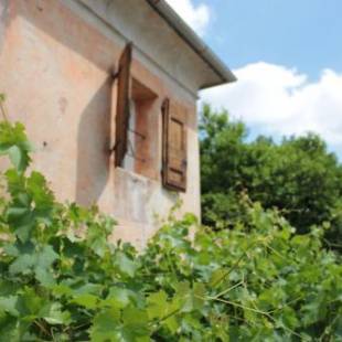 Фотографии гостевого дома
Alla vigna