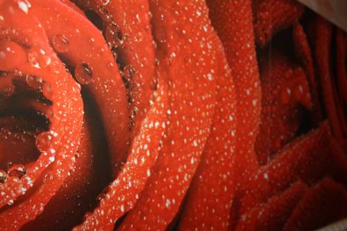 Фотография мини отеля Гармония