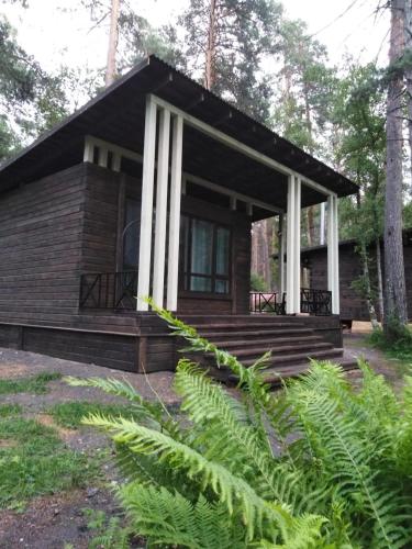 Фотография кемпинга Петроглифы