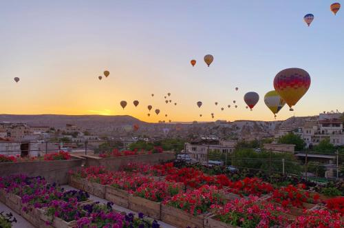 Фотография гостиницы Design Cappadocia Hotel