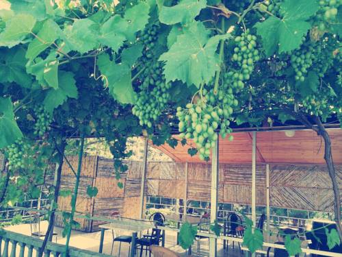 Фотография гостиницы Raffles Inn Riviera