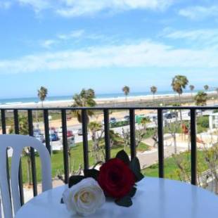 Фотографии гостиницы
Hotel Oasis