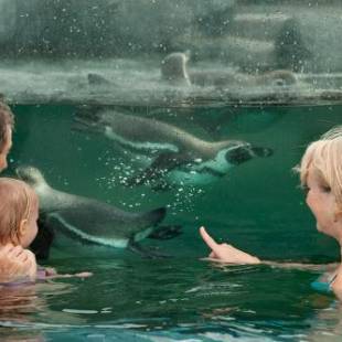 Фотографии гостиницы
Spreewelten Hotel