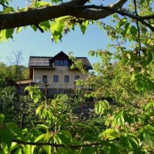 Фотографии гостевого дома
Casuta din Padure