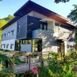 Фотография мини отеля Acacia Garden Inn