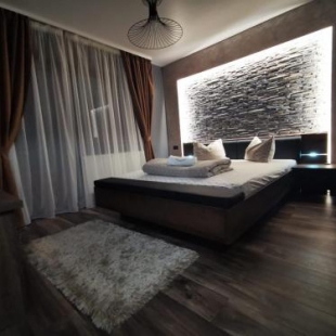 Фотография гостевого дома Pensiunea Hangita