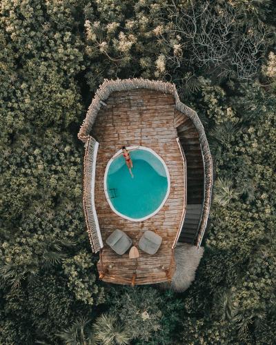 Фотография гостиницы Papaya Playa Project