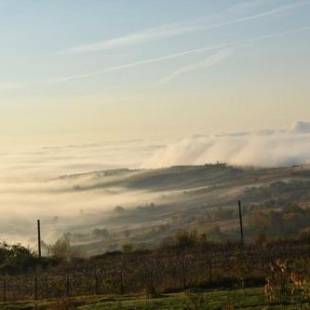 Фотографии гостевого дома 
            Casuta de pe dealul Seciu