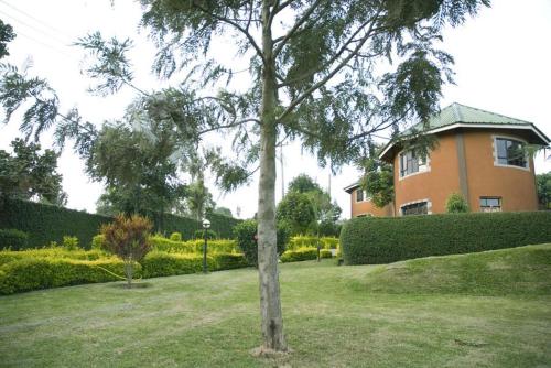 Фотография гостиницы Africa Safari Arusha