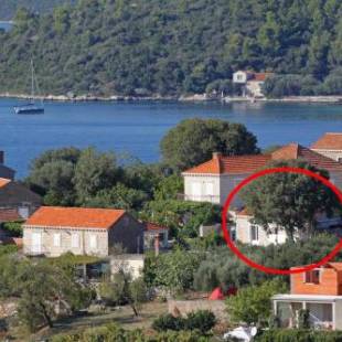 Фотографии гостевого дома
Apartments with a parking space Lumbarda, Korcula - 9474