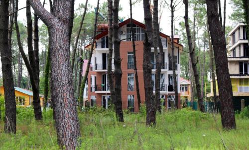 Фотографии гостиницы
ГиНа Шекветили