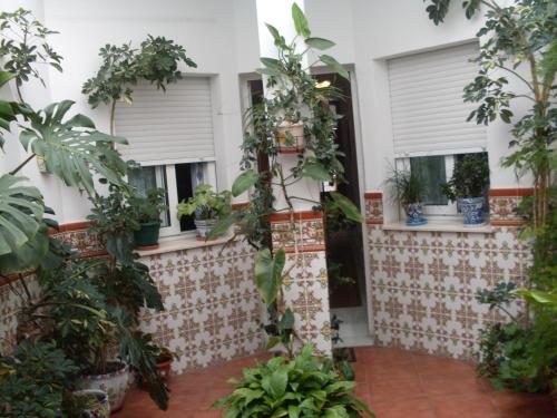 Фотография гостевого дома Hostal Andalucia