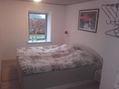 Фотография мини отеля Lindholt