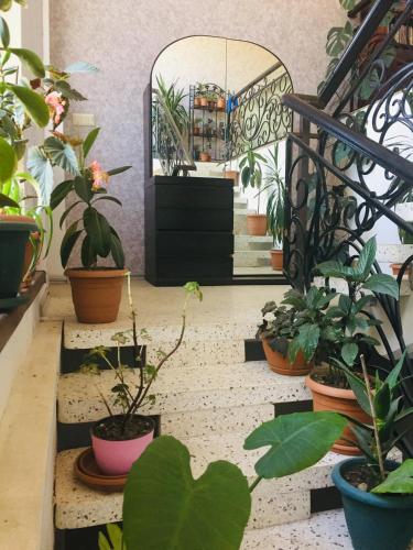 Фотография гостевого дома Zugdidi