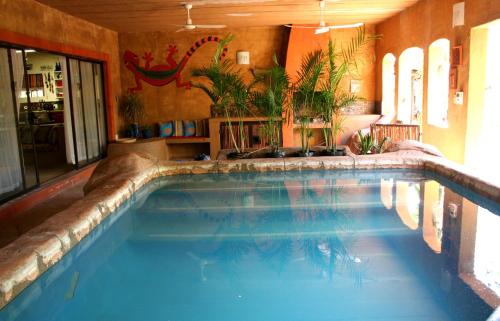 Фотография гостевого дома Kiburi Lodge @ Kruger, a secluded Bushveld getaway