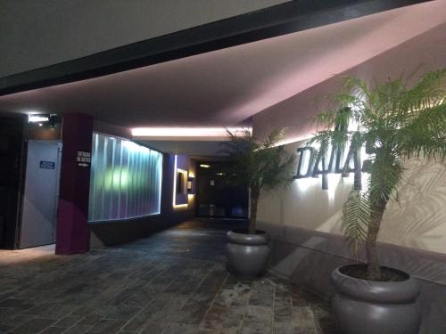 Фотографии мини отеля 
            Dallas Hotel Alojamiento