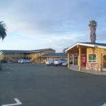 Фотография мотеля Ocean Palms Motel