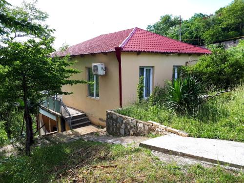 Фотография хостела Guest house IULIA