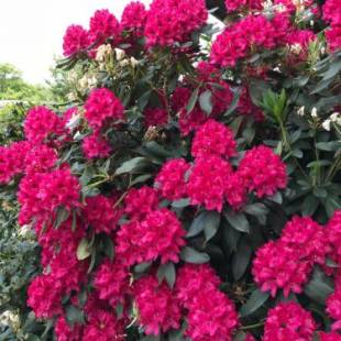 Фотографии гостевого дома
Gästehaus Steinmann Apartment 3 Zimmer