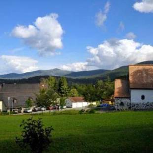 Фотографии мини отеля 
            Berggasthof Lusen