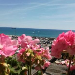 Фотография гостевого дома Torreammare