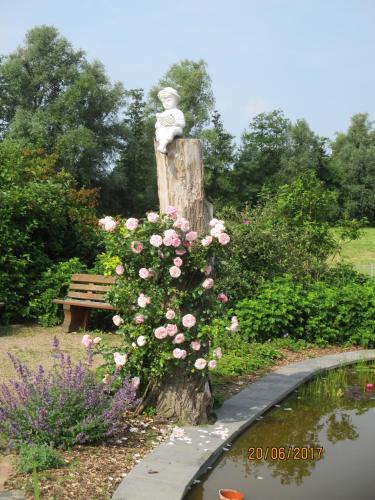 Фотография гостиницы Landhotel Belitz Garni