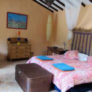 Фотографии гостевого дома
Encantadora Casa con piscina privada en el Risco de Agaete