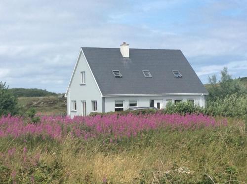 Фотография гостевого дома Teac Treasa