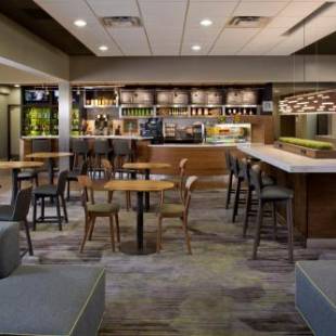 Фотографии гостиницы
Courtyard Orlando International Drive/Convention Center