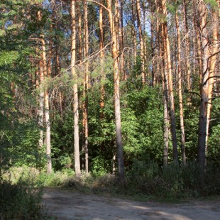 Фотография достопримечательности Урочище Монастырская гора