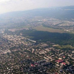 Фотография Цемесская роща