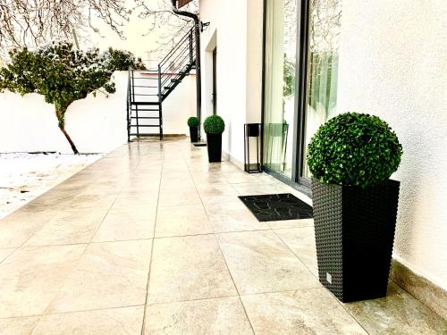 Фотография хостела Vila ANA