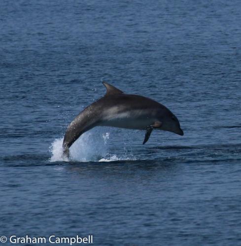 Фотография мини отеля Kintrae B&B