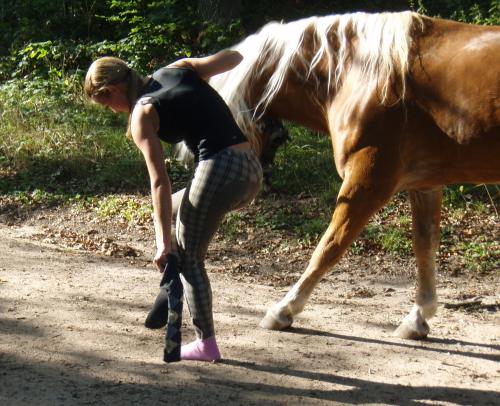 Фотография базы отдыха Hotel Reiterhof-Altmühlsee