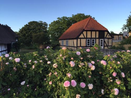 Фотография гостевого дома Millinge Gamle Skole