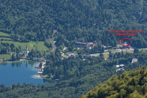 Фотография мини отеля Accommodation Destina, LAKE BOHINJ