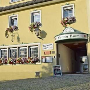 Фотографии гостиницы
Hotel Grüner Baum