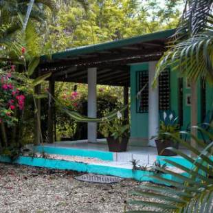 Фотографии гостевого дома 
            Rincón Blu Tropical House