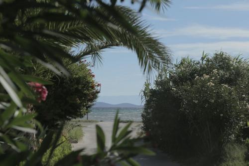 Фотография гостевого дома Room in Susak with air conditioning, W-LAN (3865-5)