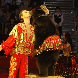 Фотография достопримечательности Харьковский Государственный Цирк