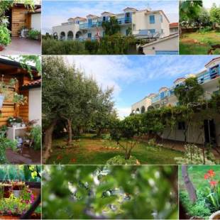 Фотографии гостевого дома
Pansion Ivan