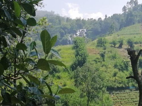 Фотография гостиницы Mars Wonderland View