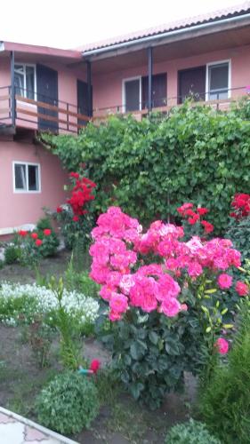 Фотография гостиницы Бархат