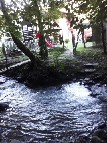 Фотография гостевого дома Casa Roland