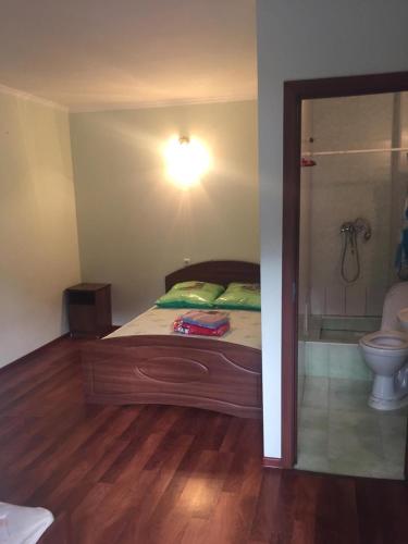 Фотография гостевого дома Даниэла