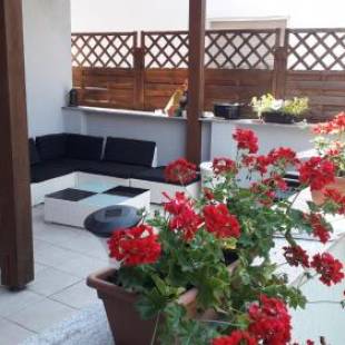 Фотографии гостевого дома
Idill Apartmanház B&B