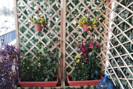 Фотография мини отеля B&B DALLA ZIA