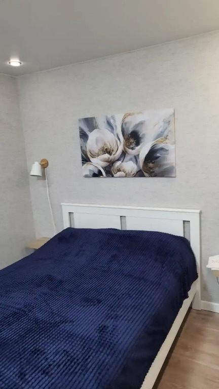 Фотография квартиры Апартаменты Василечек