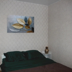 Фотография квартиры Апартаменты на улице Менделеева 2А